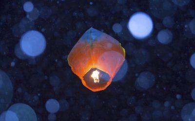 Najlepsze lampiony weselne – Ranking 2026